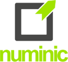 Numinic